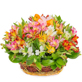 Цветы в корзинке «Краски весны»